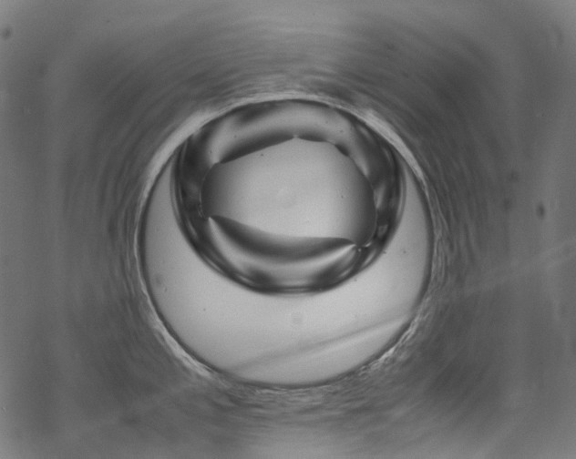 X0000070191197200605261150