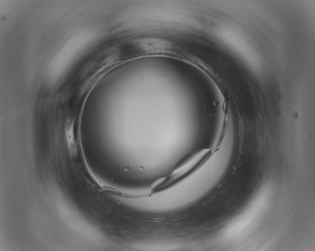 X0000070191198200605261150