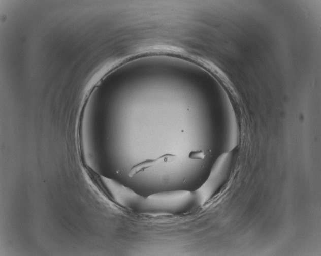 X0000070191199200605261150