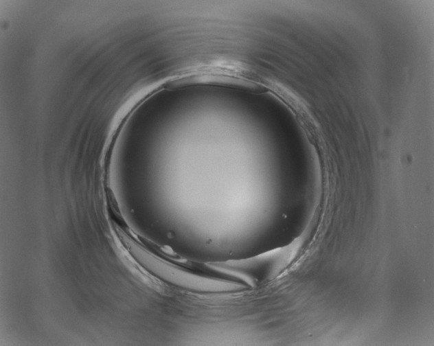 X0000070191200200605261150