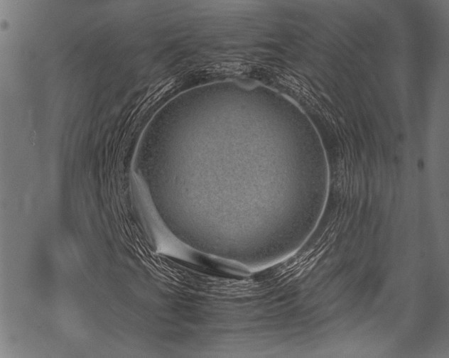 X0000070191201200605261149