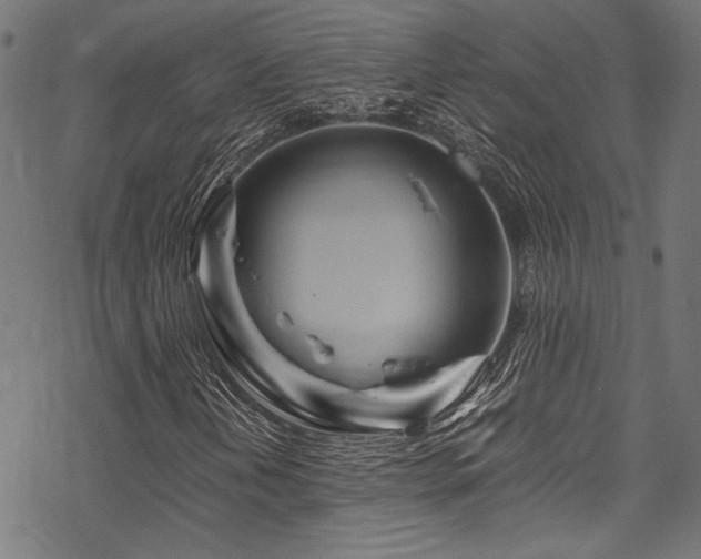 X0000070191202200605261149