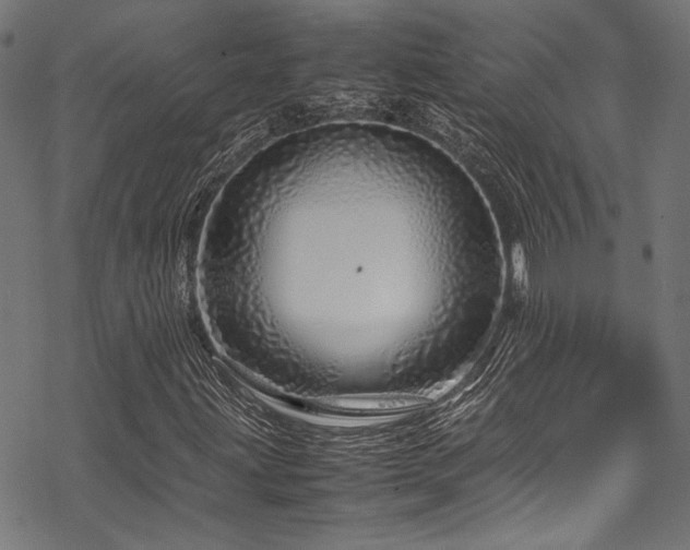 X0000070191203200605261149