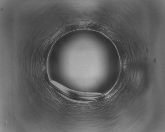 X0000070191204200605261149