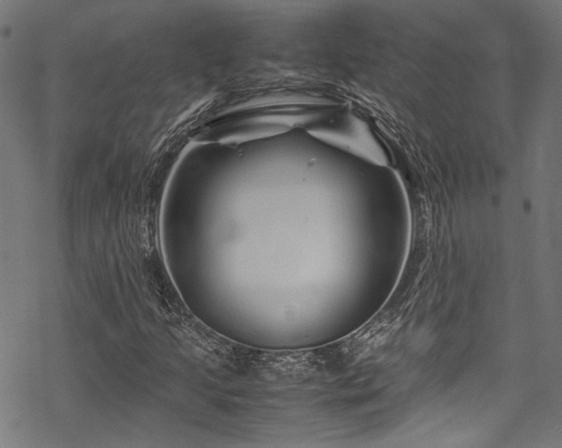 X0000070191205200605261149