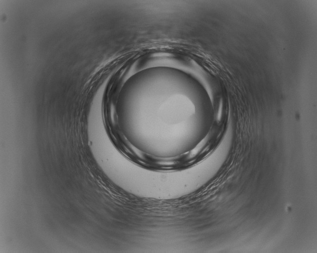 X0000070191206200605261149