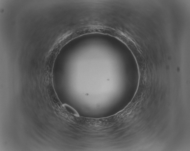 X0000070191207200605261149