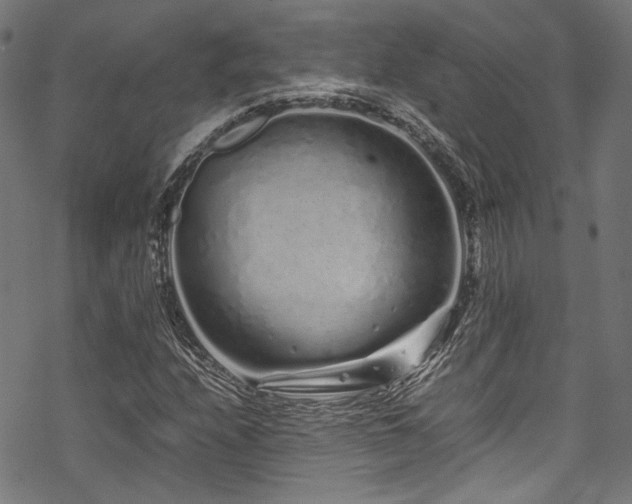 X0000070191208200605261149