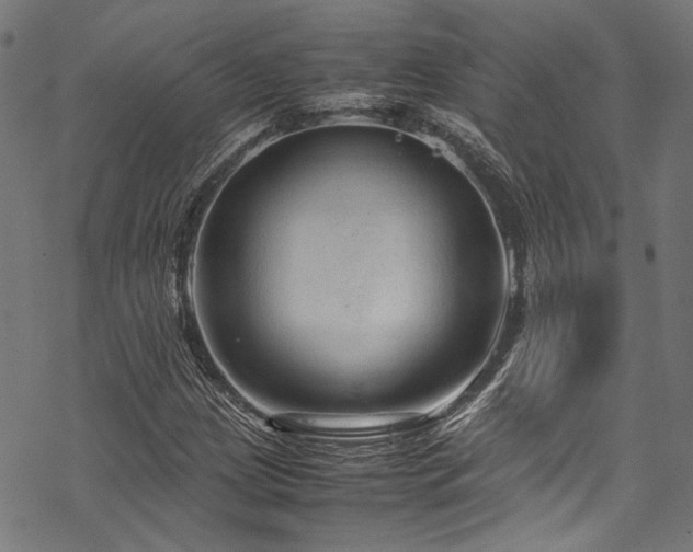 X0000070191209200605261149