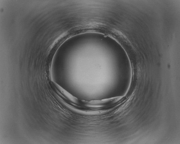 X0000070191210200605261149