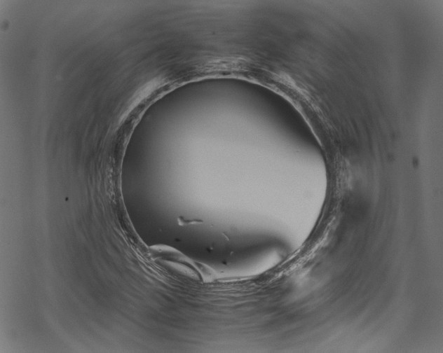 X0000070191211200605261149