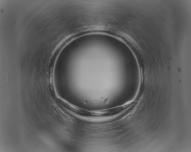 X0000070191212200605261149