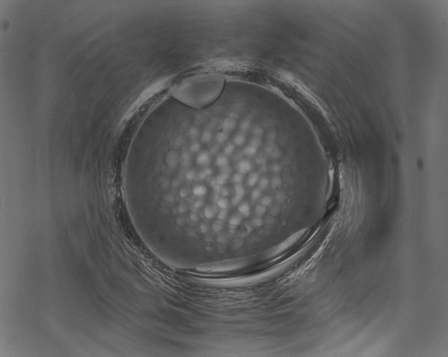 X0000070191213200605261149