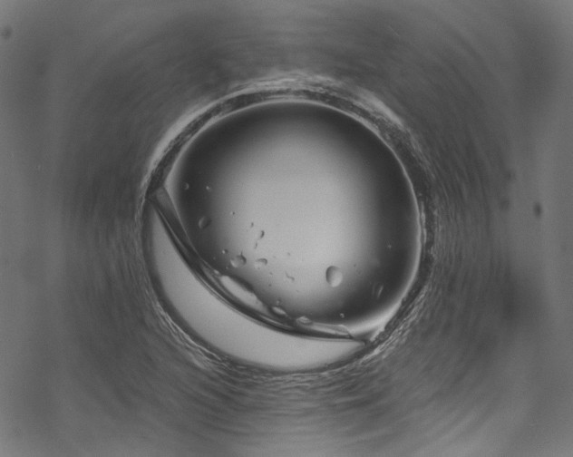 X0000070191216200605261149