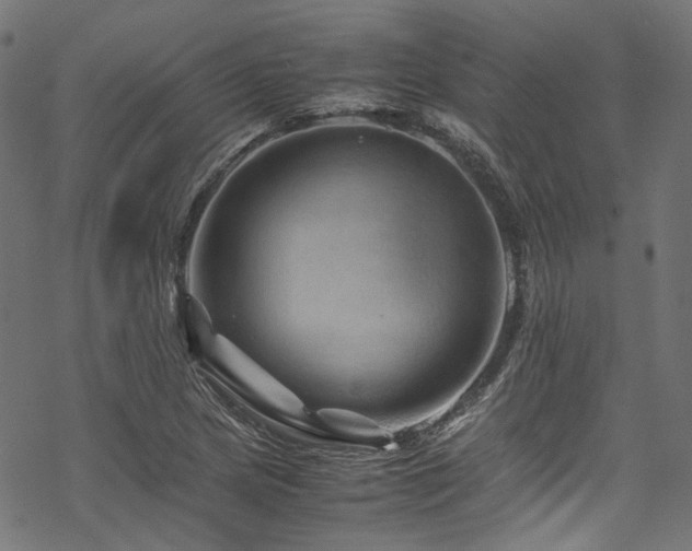 X0000070191217200605261149