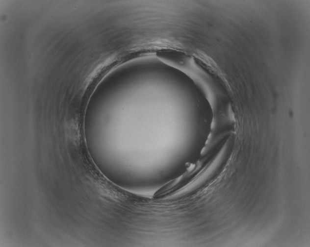 X0000070191218200605261149