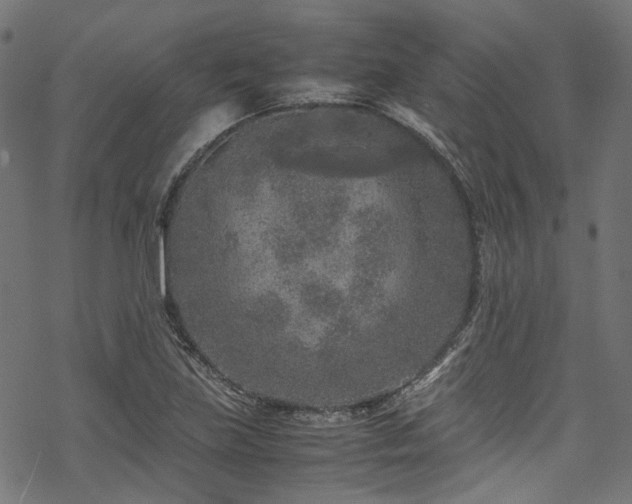 X0000070191219200605261149