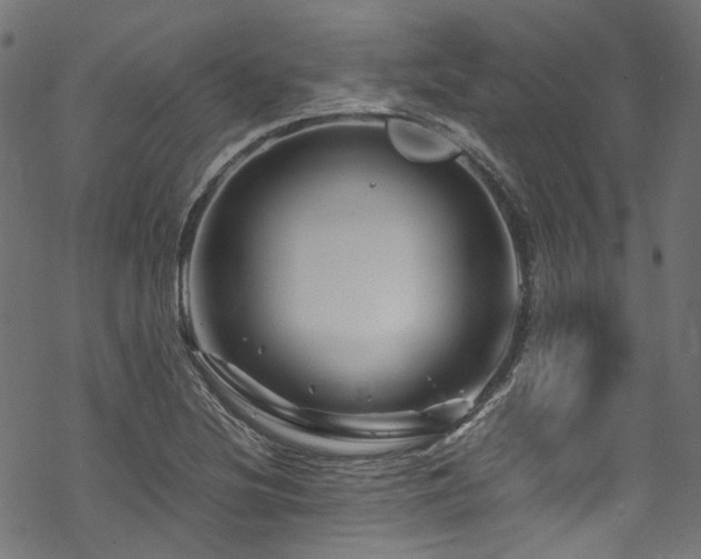 X0000070191220200605261149