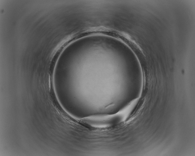 X0000070191221200605261149