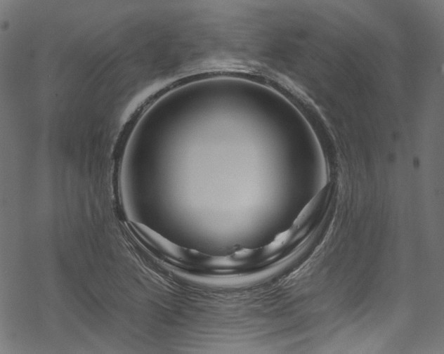 X0000070191222200605261149