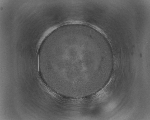 X0000070191223200605261149