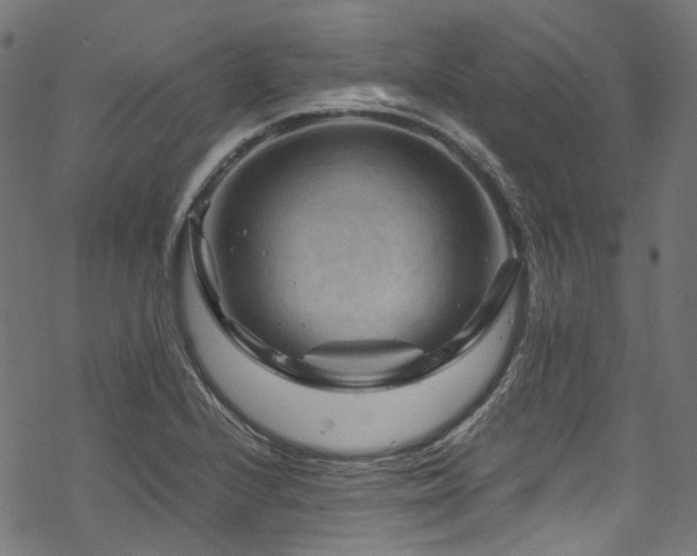 X0000070191224200605261149