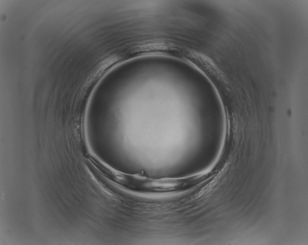 X0000070191225200605261149