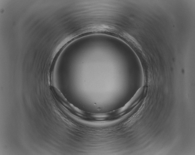 X0000070191226200605261149