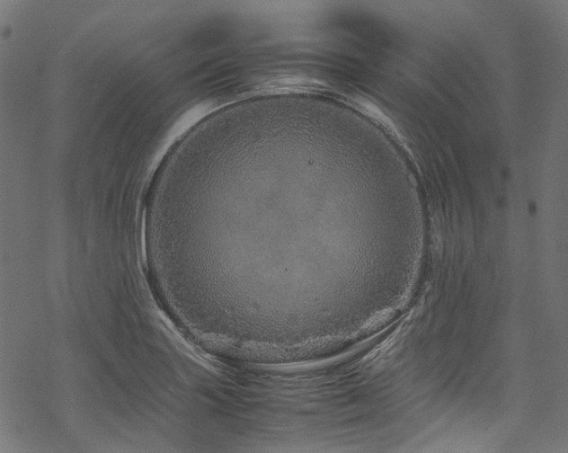 X0000070191227200605261149