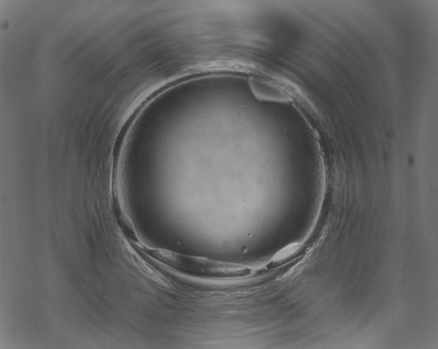 X0000070191228200605261149