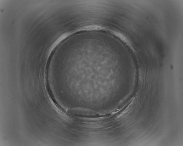 X0000070191229200605261149