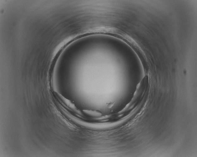 X0000070191230200605261149