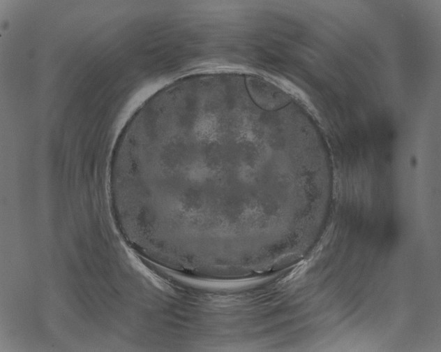 X0000070191231200605261149