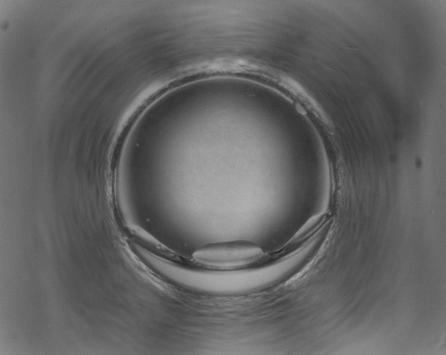 X0000070191232200605261149