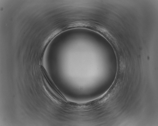 X0000070191233200605261149