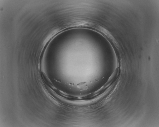 X0000070191234200605261149