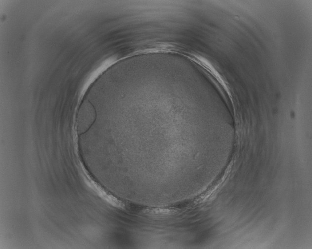 X0000070191235200605261149