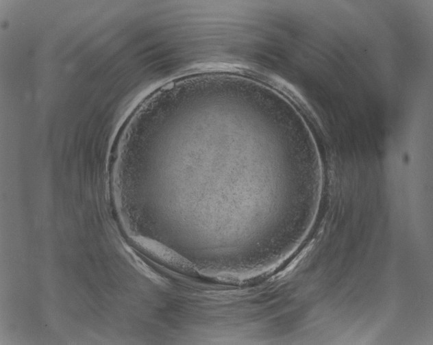 X0000070191236200605261149