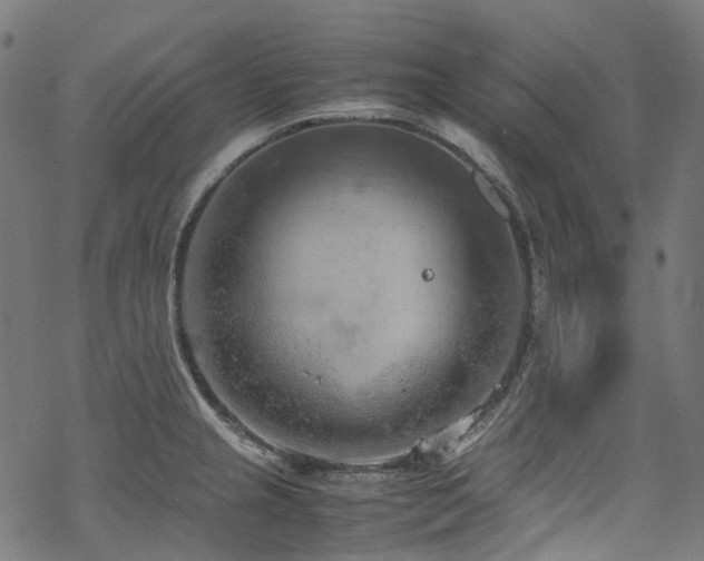 X0000070191237200605261149