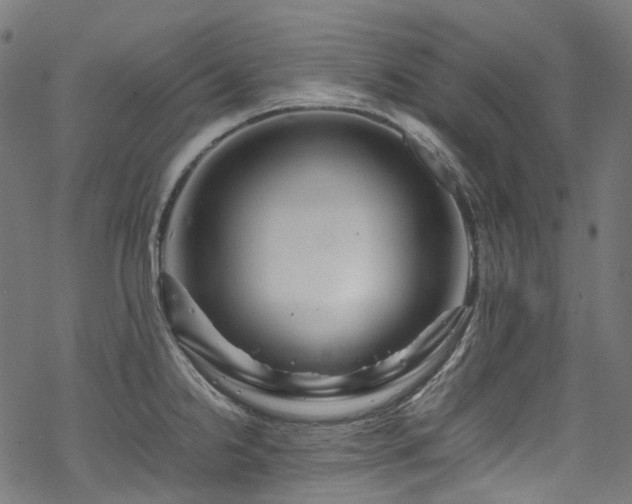 X0000070191238200605261149