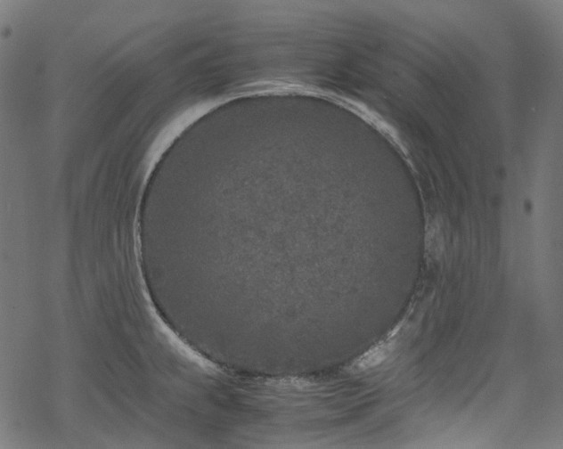 X0000070191239200605261149