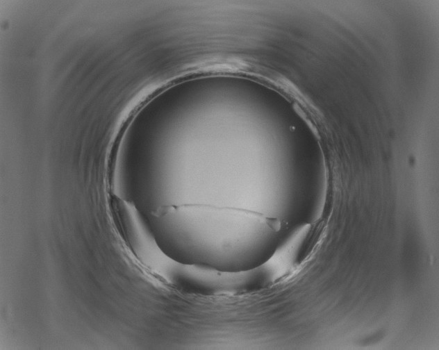 X0000070191240200605261149