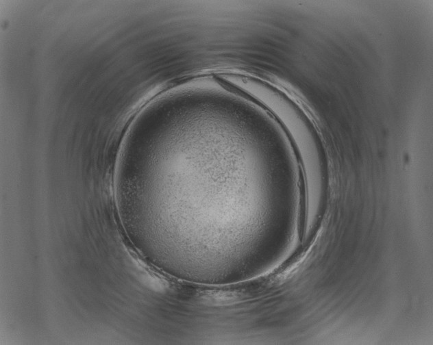 X0000070191241200605261149