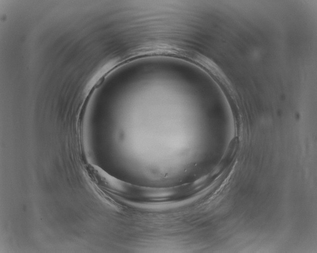 X0000070191242200605261149