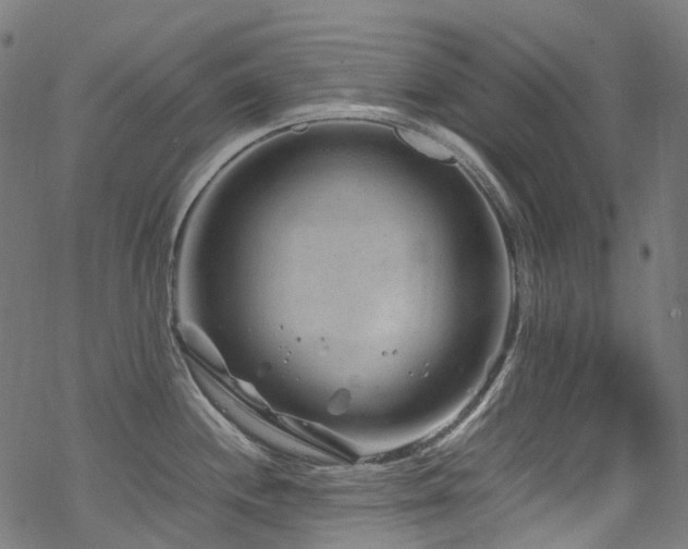 X0000070191244200605261149