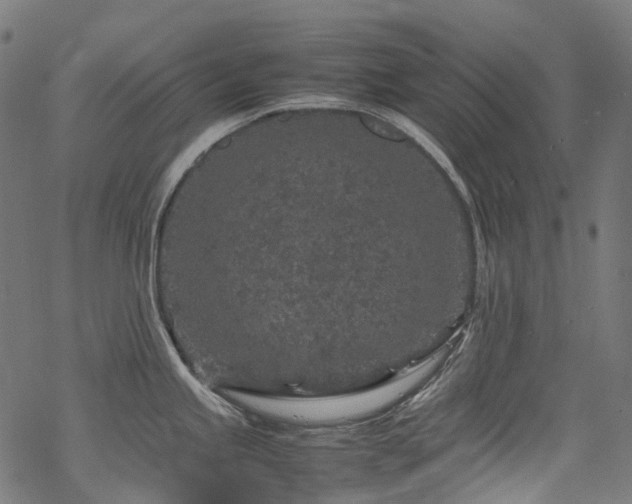 X0000070191245200605261149