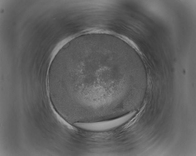 X0000070191247200605261150