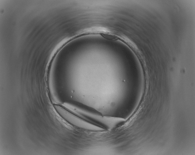 X0000070191248200605261150