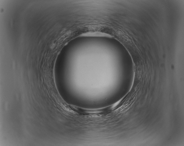 X0000070191249200605261149