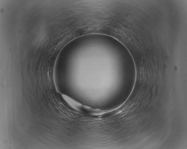 X0000070191250200605261149